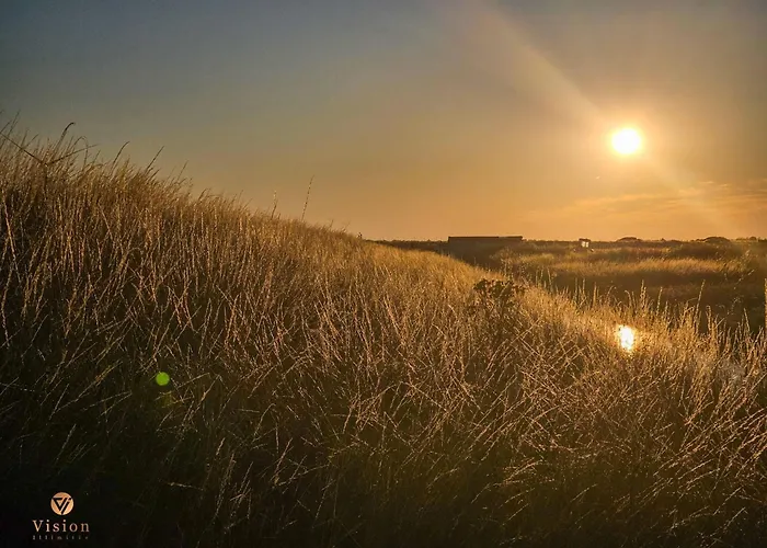 펜션 Plages - Piscine - Barbecue - De En Vendee Bouin (Vendee)